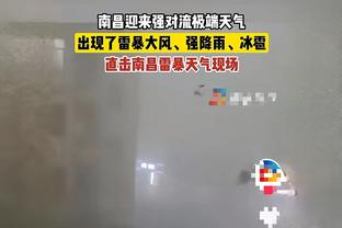 记者：深圳新鹏城内援人选有林创益、张卫、陶源、彭鹏等